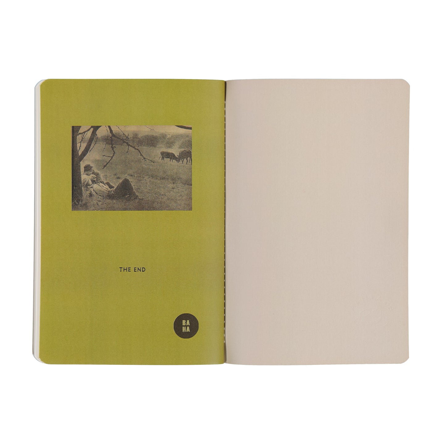 Open book with green left page and beige right page on a white background