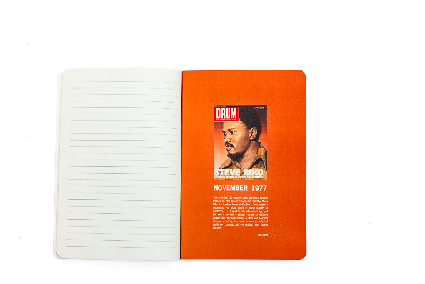 Steve Biko Softcover