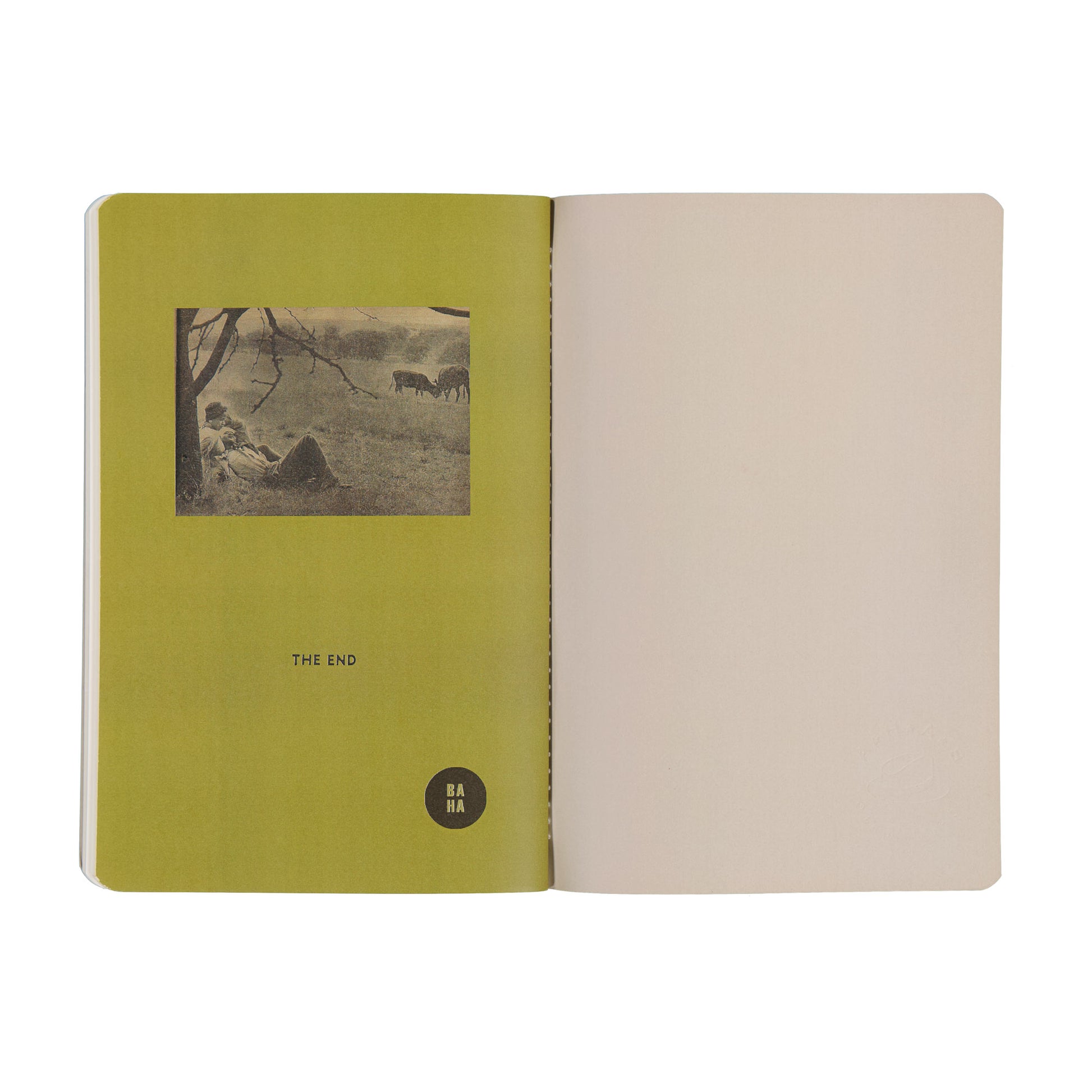 Open book with green left page and beige right page on a white background