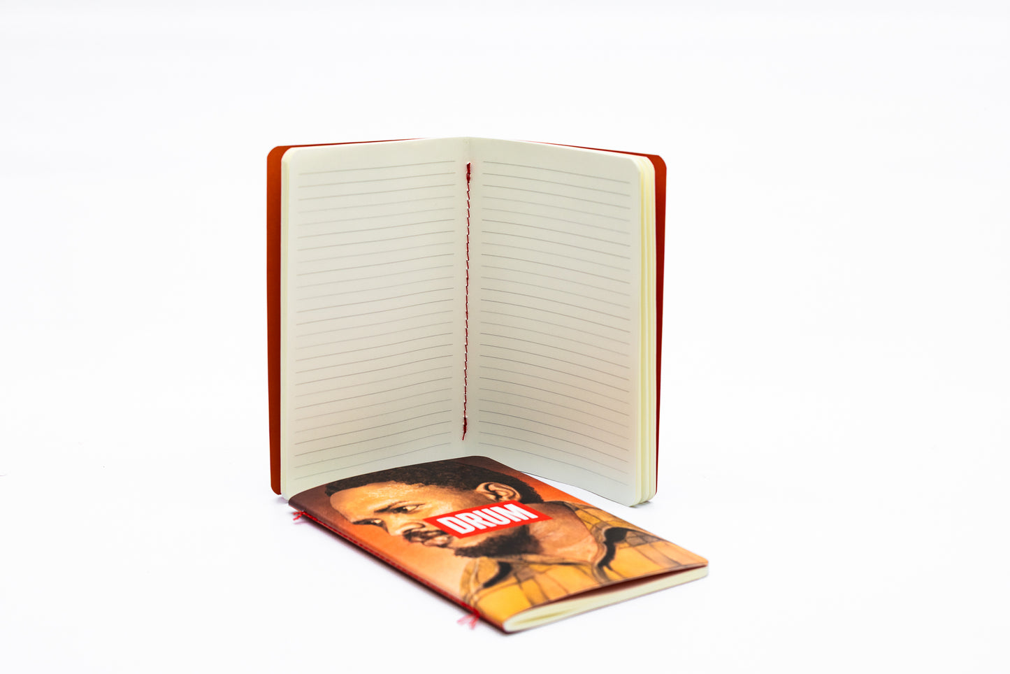 Steve Biko Softcover