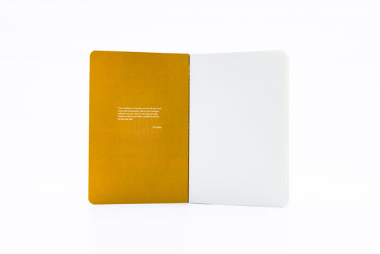 The Bethal Boxer Softcover
