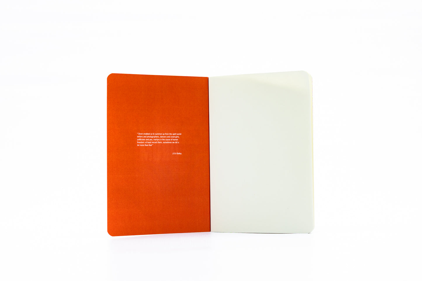 Steve Biko Softcover
