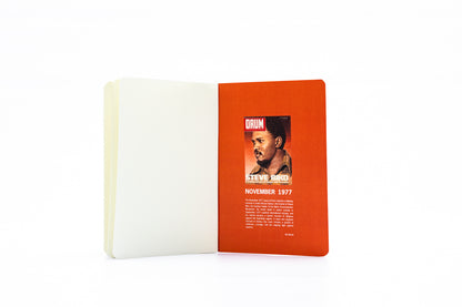 Steve Biko Softcover