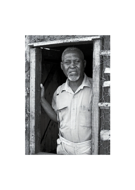 Chief Albert Lithuli Postcard