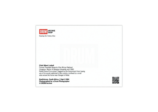 Chief Albert Lithuli Postcard