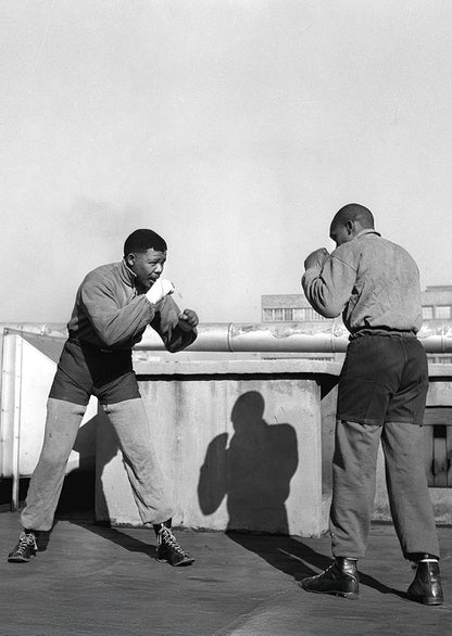 Mandela Boxer Postcard
